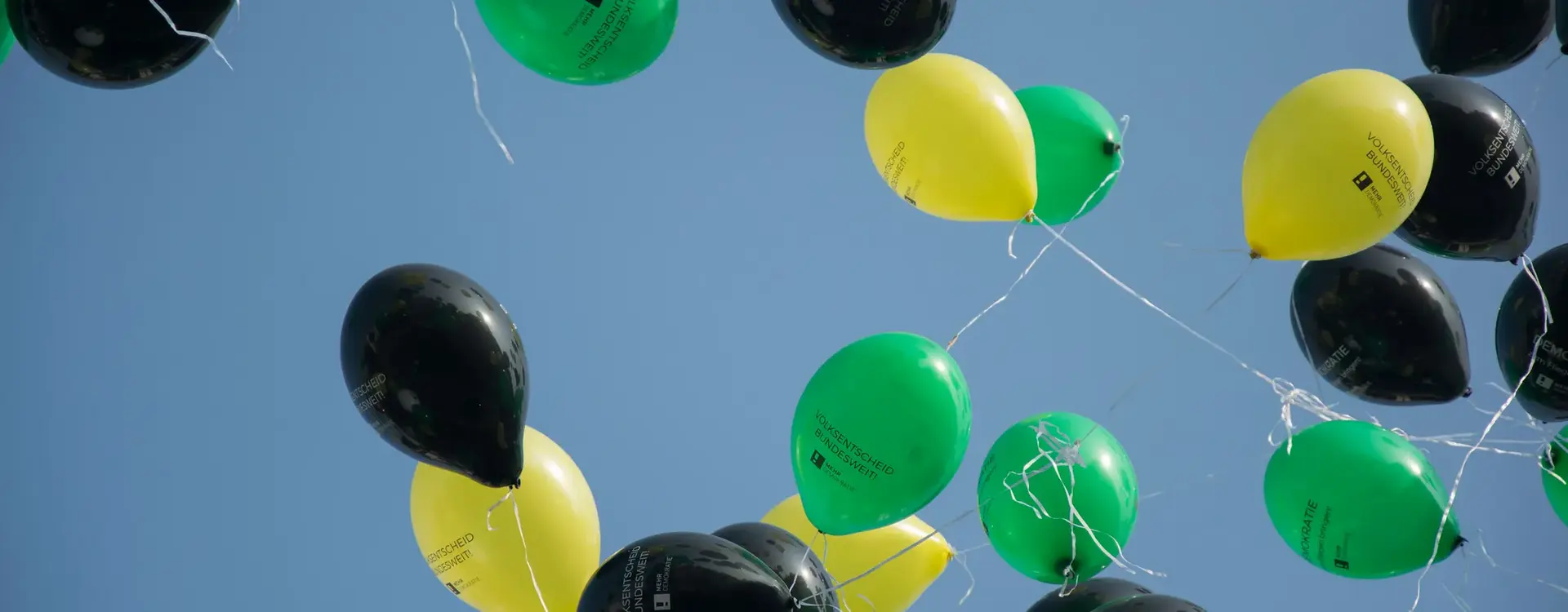 Im Himmel sind ganz viele schwarze, grüne und gelbe Luftballons mit dem Text "Volksentscheid Bundesweit" und das Logo von Mehr Demokratie.