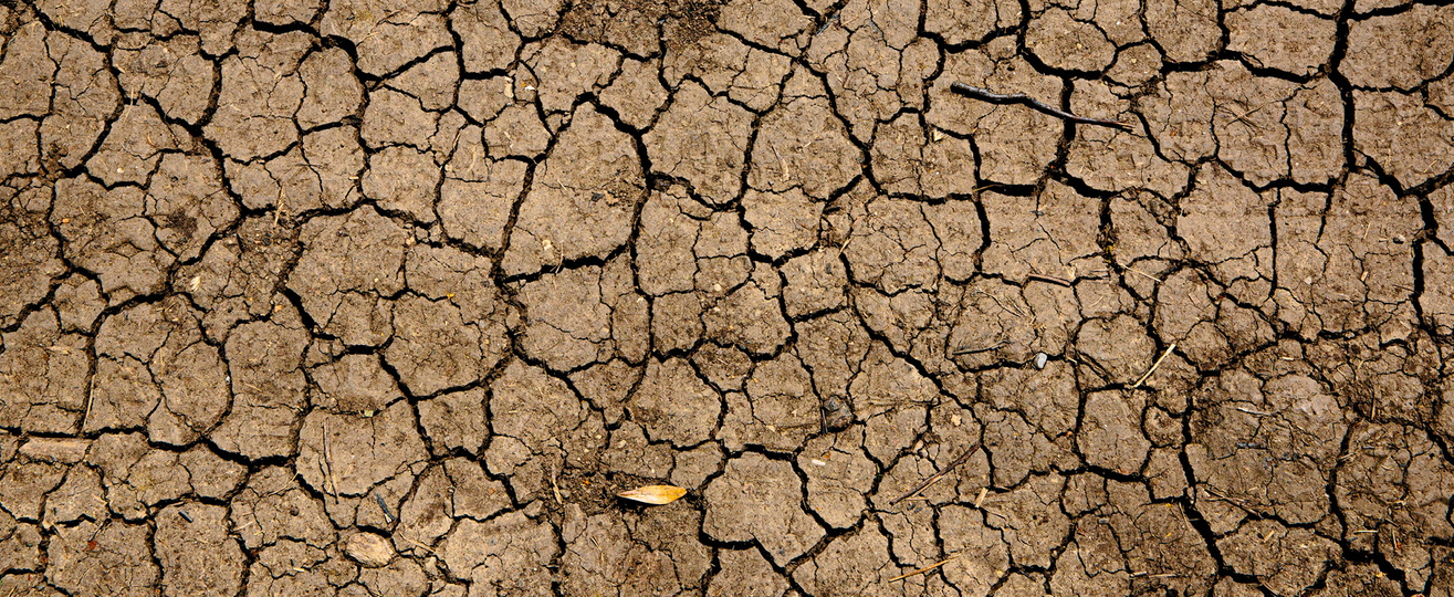 Bild zur Veranstaltung Klima und Beteiligung: Wie können wir vor Ort wirksam werden?