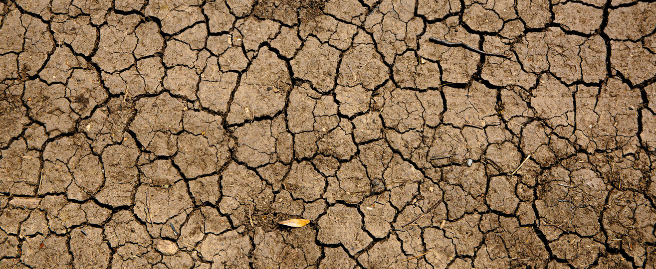 Bild zur Veranstaltung Climate and participation: How can we make a difference locally?