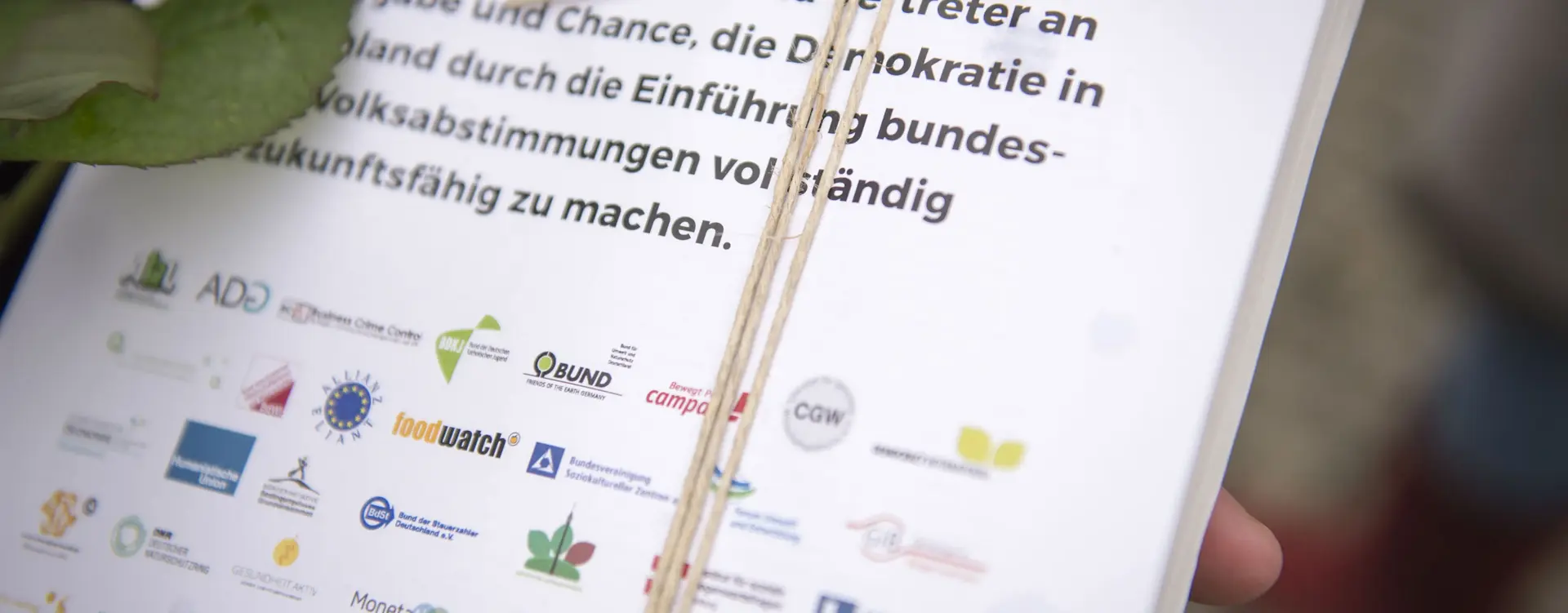 Foto by Jan Hagelstein | Lizenz: CC BY-SA 2.0 (https://creativecommons.org/licenses/by-sa/2.0/deed.de) Ein Bild von vielen Blättern, welche gebunden sind.