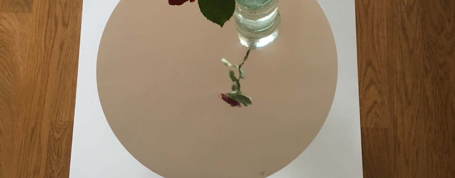 Auf dem Bild steht eine Rose in einer Glasvase auf einem Spiegel.