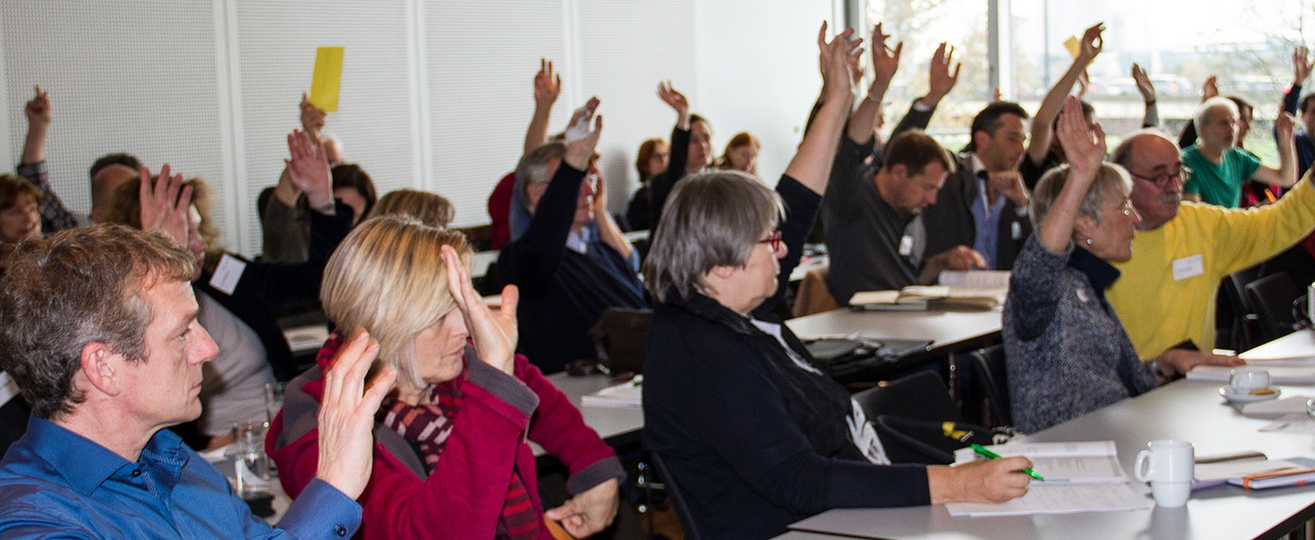 Bild zur Veranstaltung Democratic innovations in contested and constrained contexts