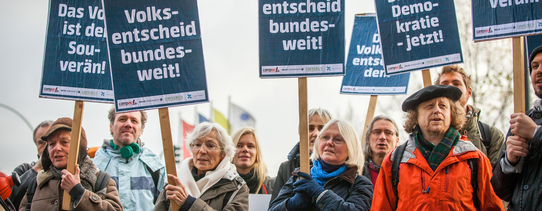 Zu sehen ist ein Protestmarsch, welcher bundesweite Volksentscheide fordert.