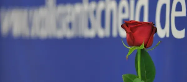 Die Rose für die direkte Demokratie