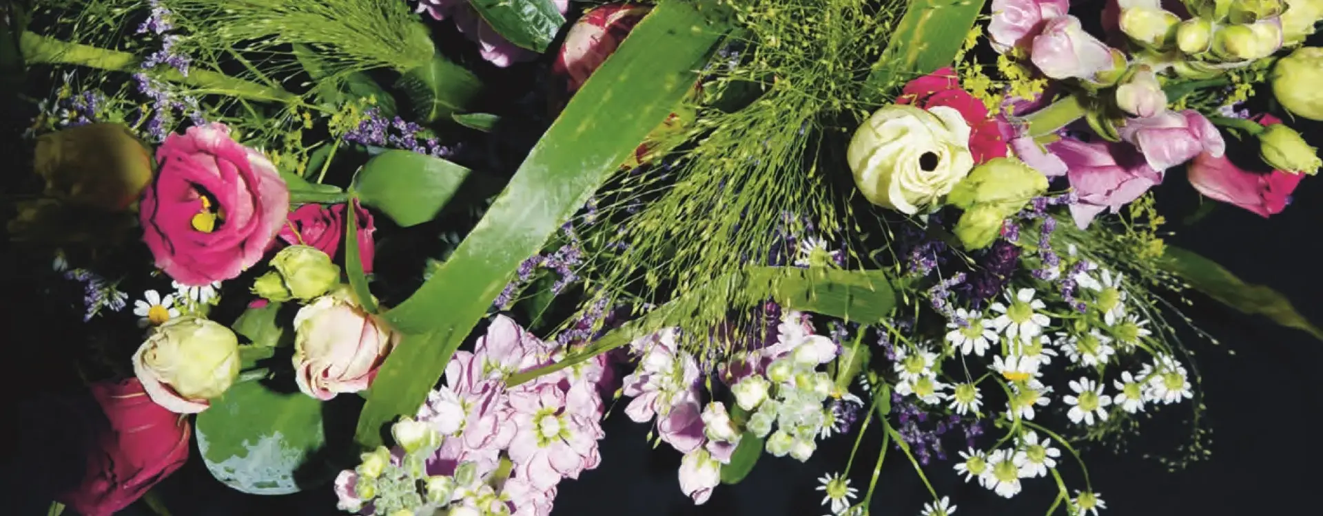 Der Zeitschriftendeckel vom "mdmagazin" mit vielen schönen Blumen ist hier zu sehen.