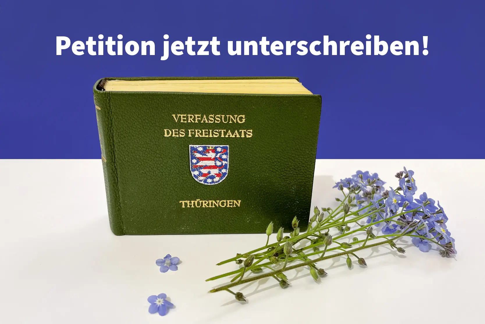 Oben-mittig steht "Petition jetzt unterschreiben!", darunter steht die Verfassung des Freistaates Thüringen in Buchform mit ein paar niedergelegten blauen Blumen davor.